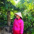Lê Thị Mỹ Hạnh – nông dân trồng sầu riêng