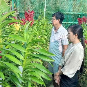 nam-2025-tiep-tuc-co-cau-lai-nganh-nong-nghiep-gan-voi-xay-dung-nong-thon-moi