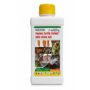 THÁNH TUYẾN TRÙNG - SIÊU SÙNG HÀ