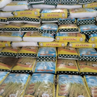 Lúa Giống OM 380 ( 40Kg; giá 13,5K/Kg)